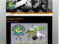 http://capoeiraoktatas.hu ismertető oldala